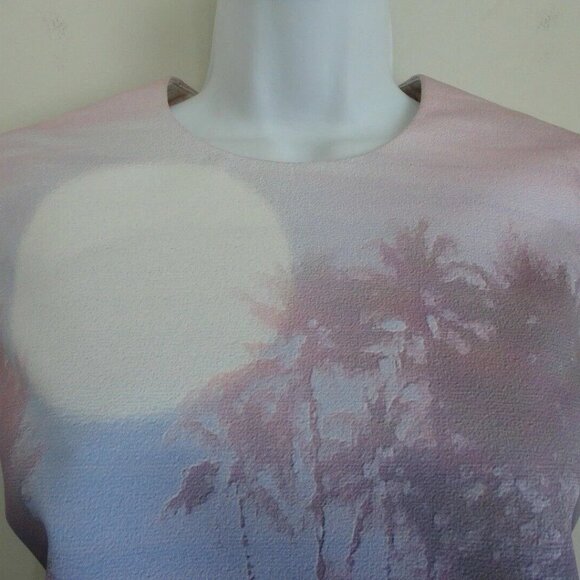 NWT VICTORIA BECKHAM Multi Color Sun Dream Dropped Hem Shift Dress 42/6 - Picture 3 of 7